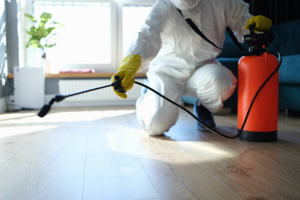 Trusted Unattended Death Cleanup service in Woodbine, GA - Four Month Blood Cleanse